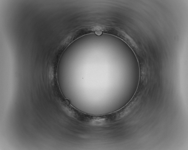 X0000116290257200912071217