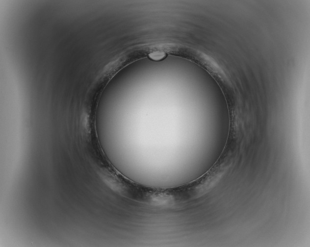 X0000116290258200912071217