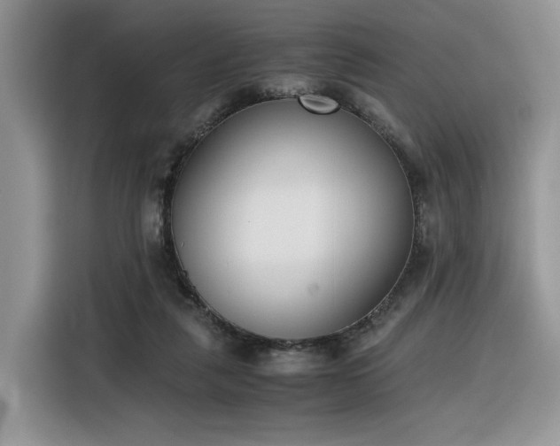 X0000116290259200912071217