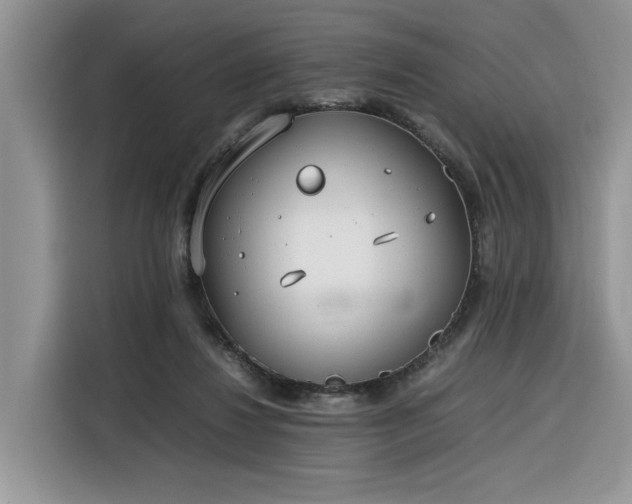 X0000116290260200912071217