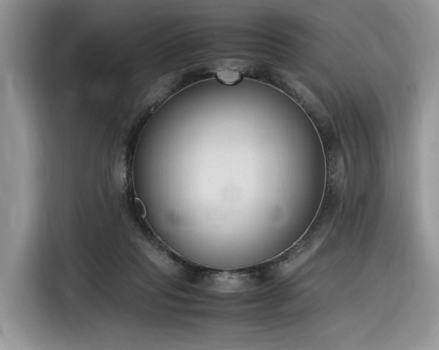 X0000116290261200912071217