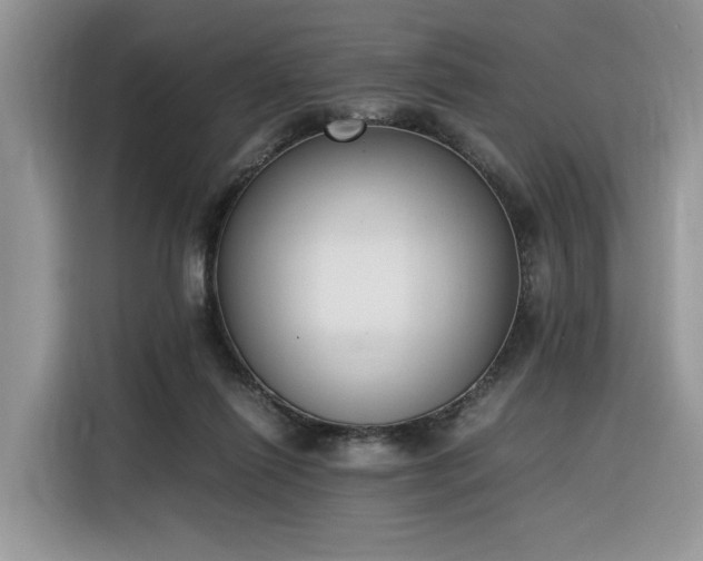 X0000116290262200912071217