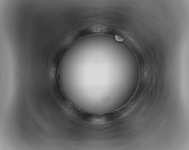 X0000116290263200912071217