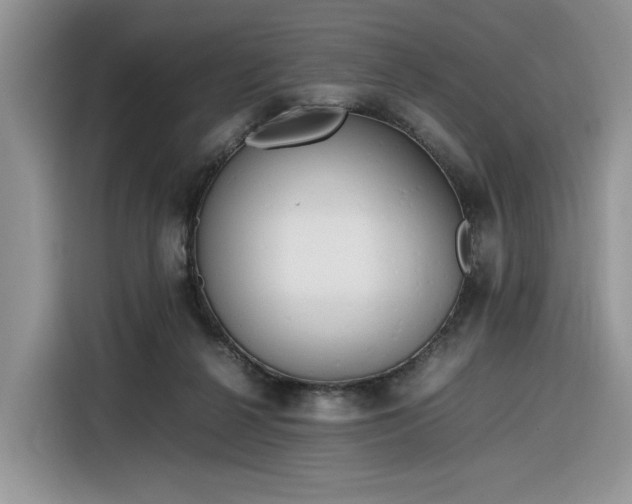 X0000116290264200912071217