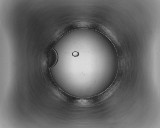 X0000116290265200912071217