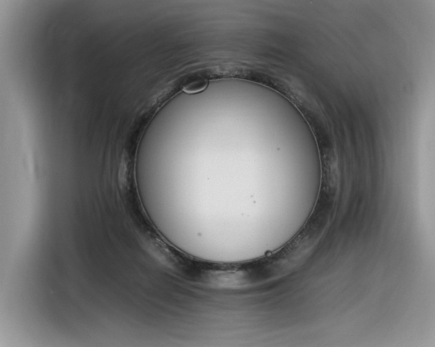 X0000116290266200912071217