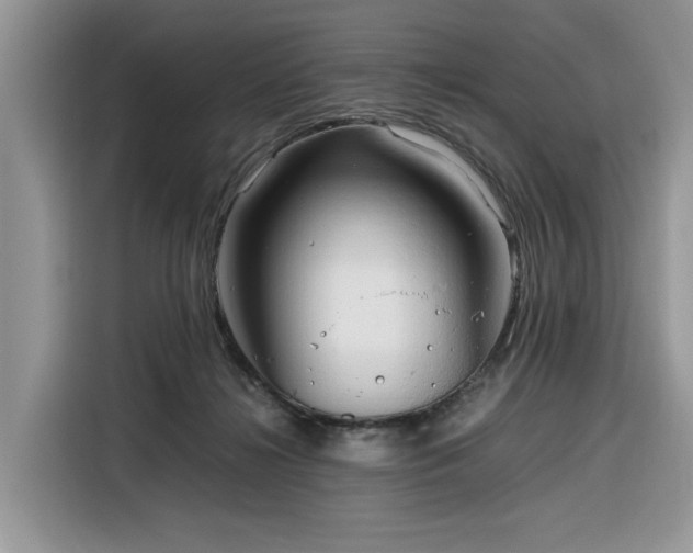 X0000116290268200912071217