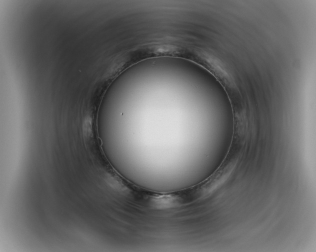 X0000116290269200912071217