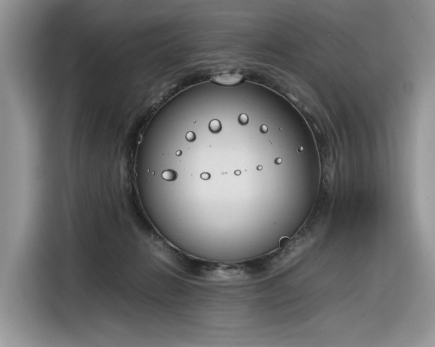 X0000116290270200912071217