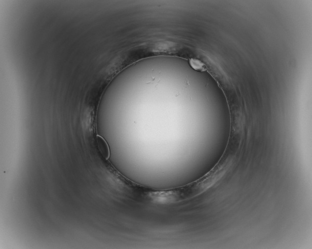 X0000116290273200912071217