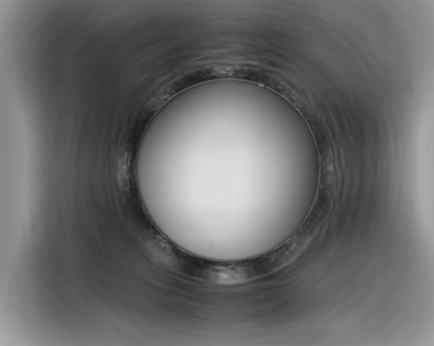 X0000116290275200912071217