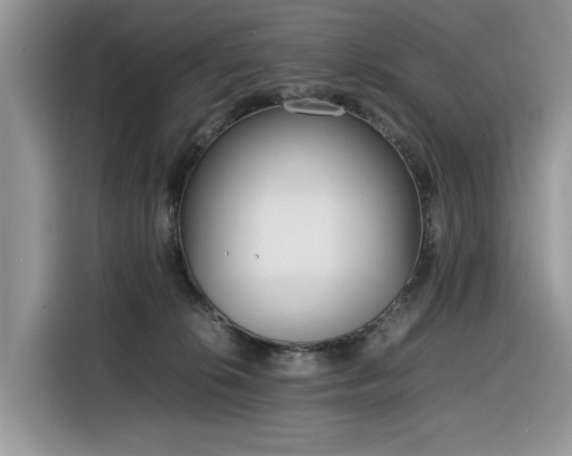 X0000116290276200912071217