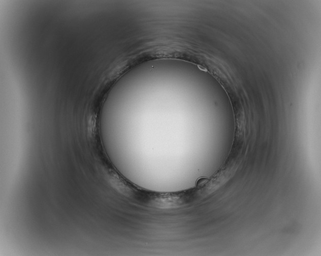 X0000116290278200912071217