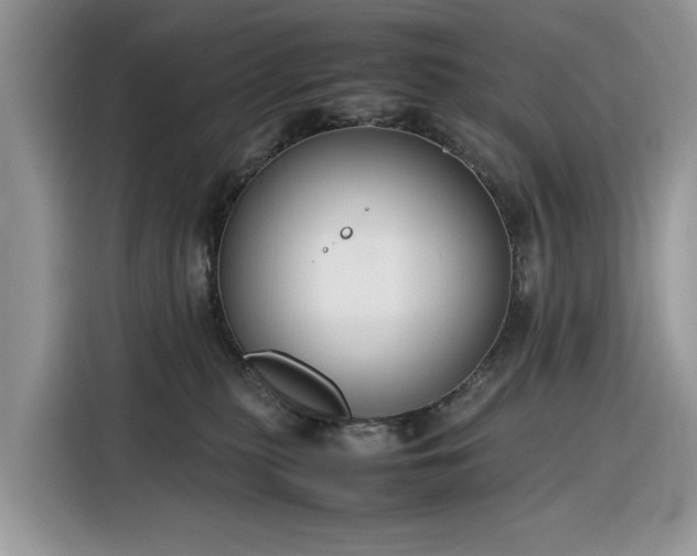 X0000116290279200912071217