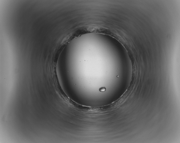 X0000116290280200912071217