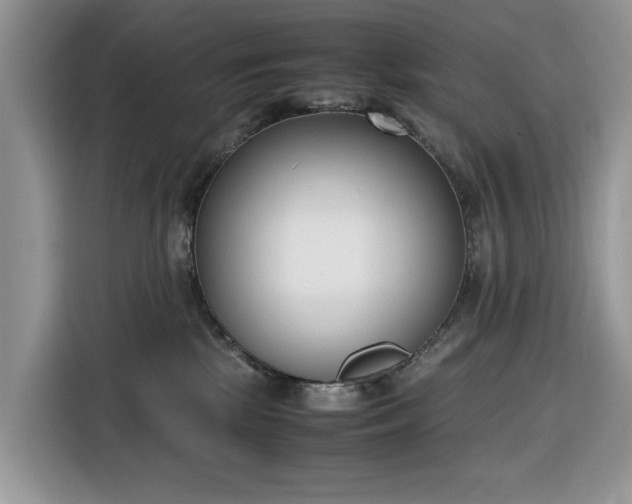 X0000116290281200912071217