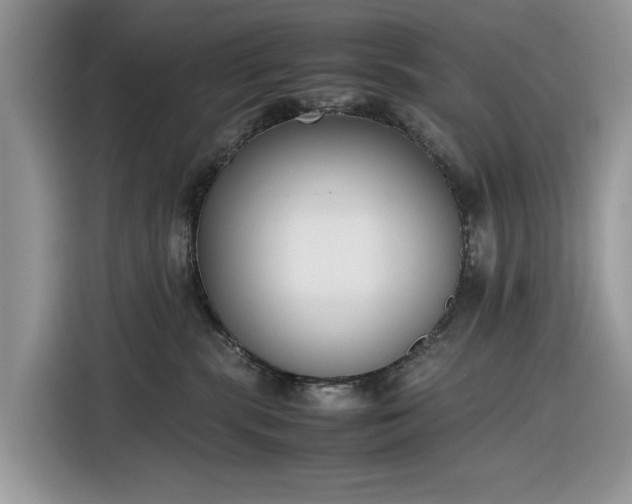 X0000116290283200912071217