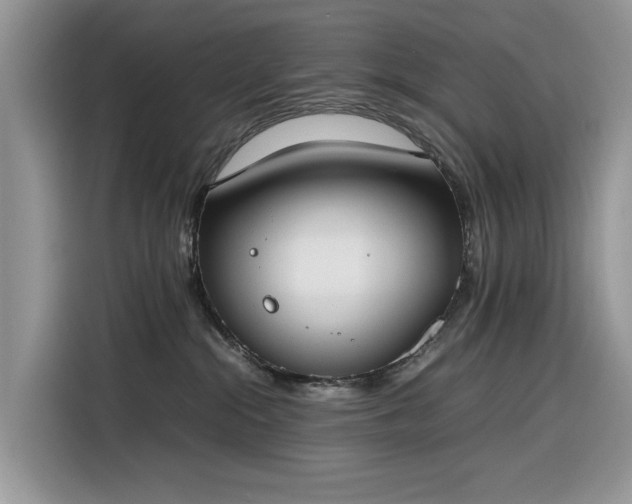 X0000116290284200912071217