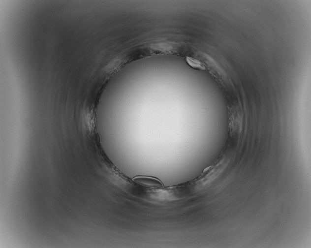 X0000116290285200912071217