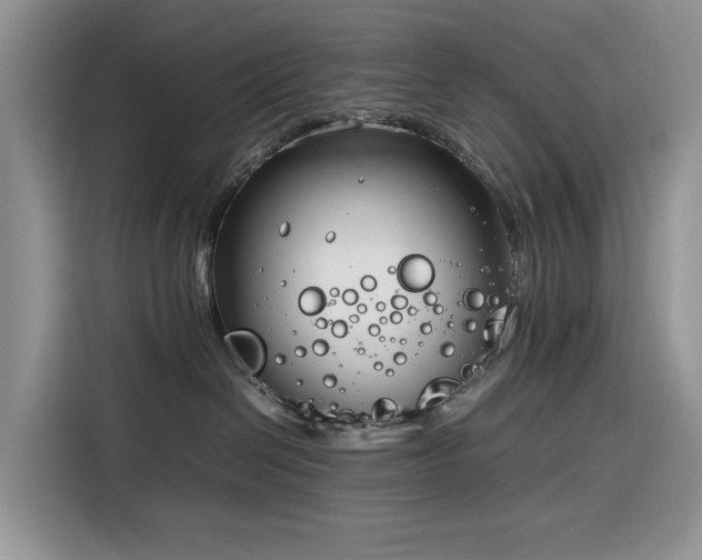 X0000116290286200912071217