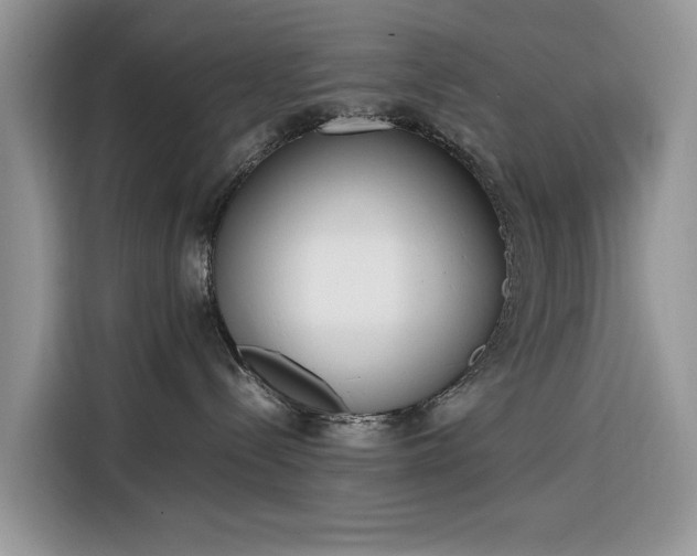 X0000116290288200912071217