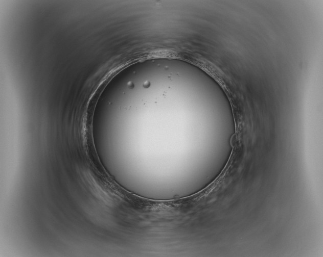 X0000116290290200912071216