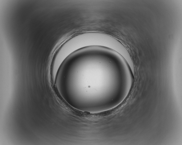 X0000116290293200912071216