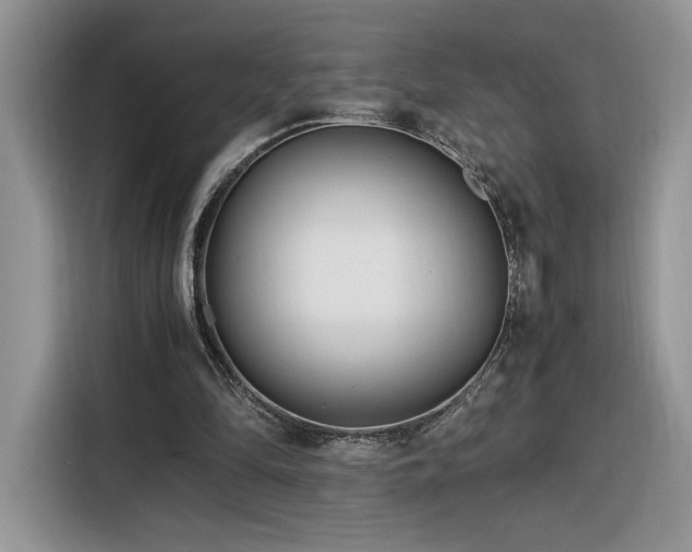 X0000116290294200912071216