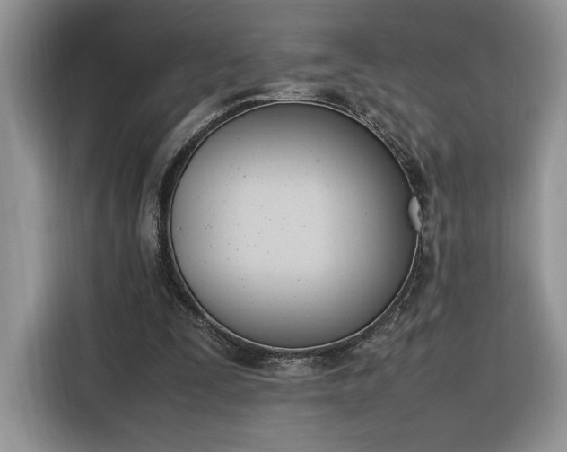 X0000116290295200912071216