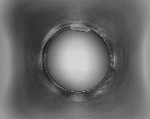 X0000116290296200912071216