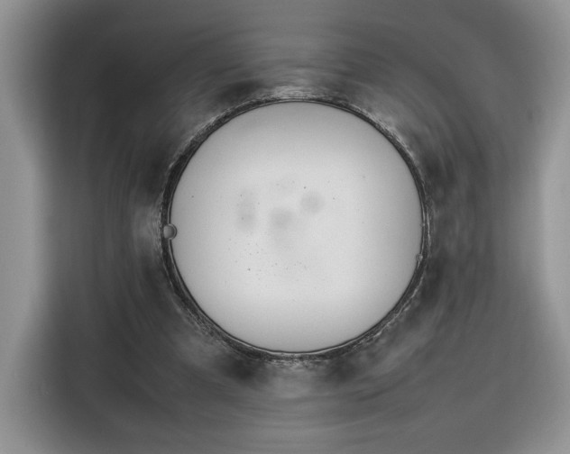 X0000116290297200912071216