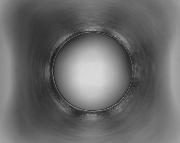 X0000116290298200912071216