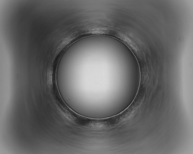 X0000116290299200912071216