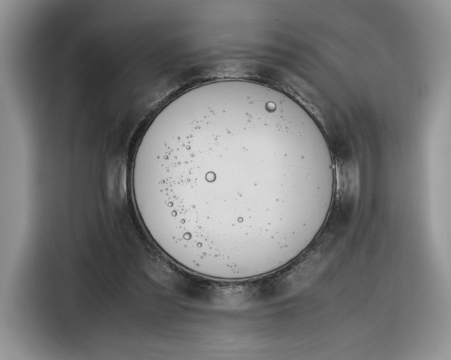 X0000116290301200912071216