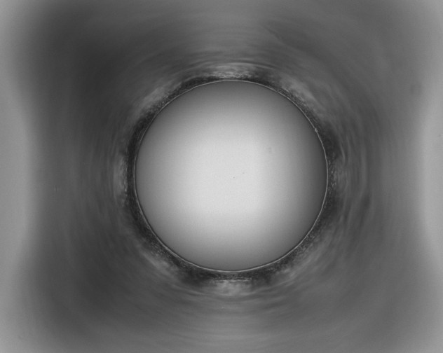 X0000116290303200912071216