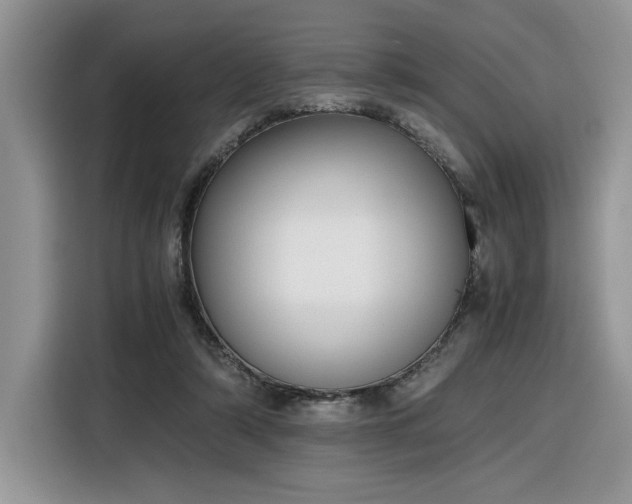 X0000116290306200912071216