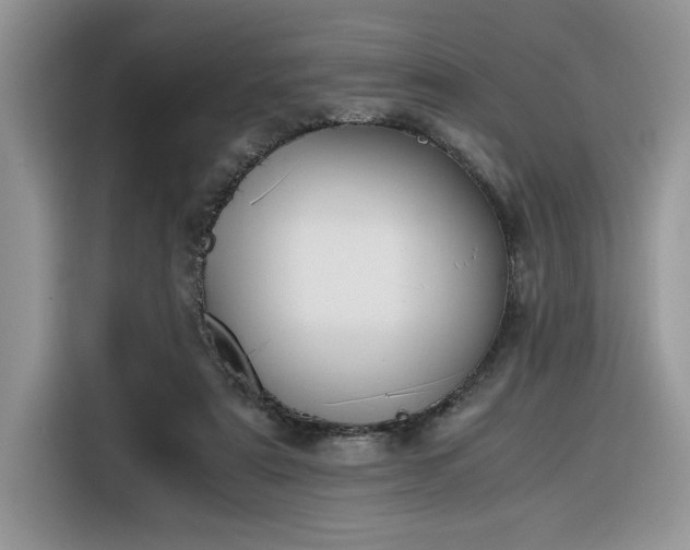 X0000116290307200912071216