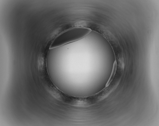 X0000116290308200912071216