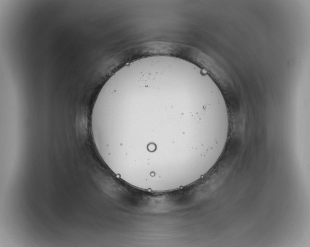 X0000116290309200912071216