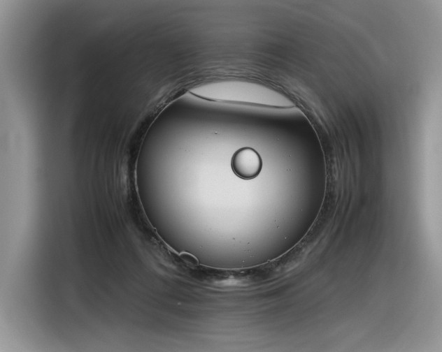 X0000116290312200912071216