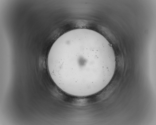 X0000116290313200912071216