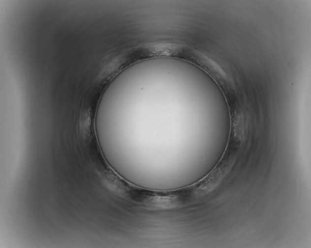 X0000116290314200912071216