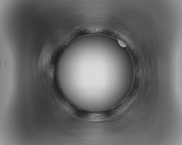 X0000116290315200912071216