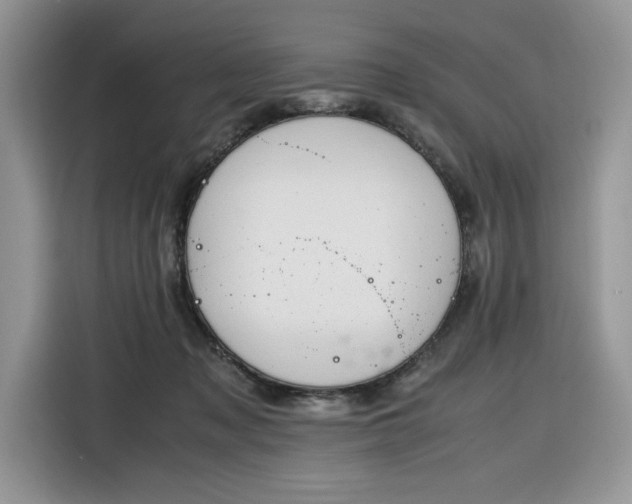 X0000116290317200912071216