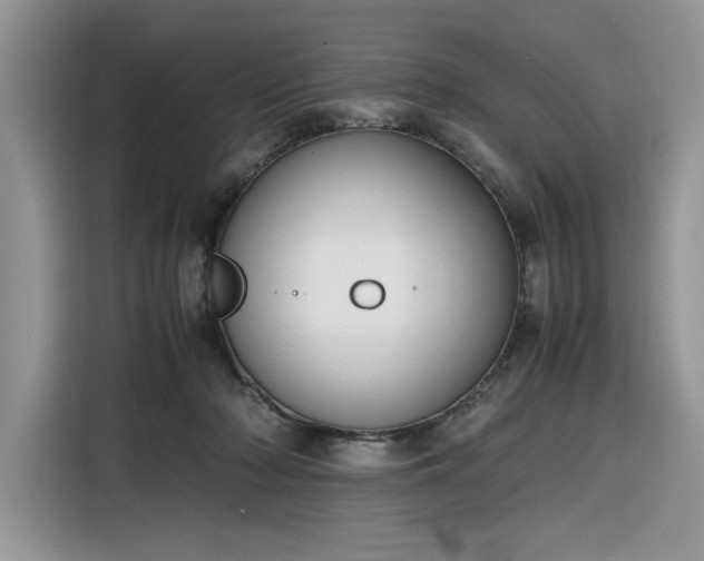 X0000116290318200912071216