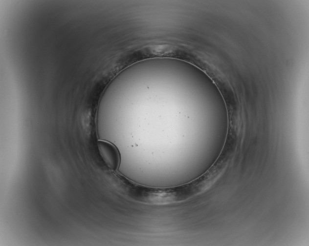 X0000116290319200912071216