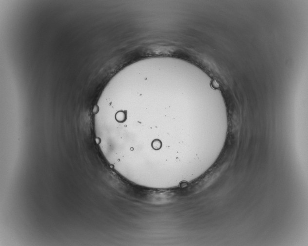 X0000116290321200912071216