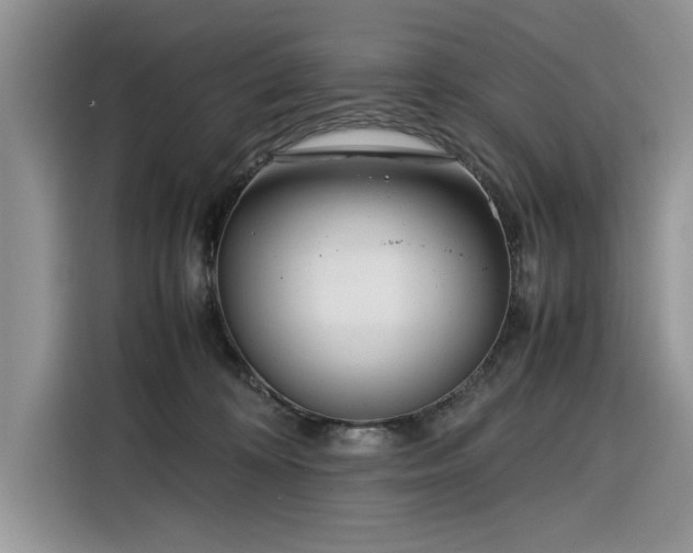 X0000116290324200912071216