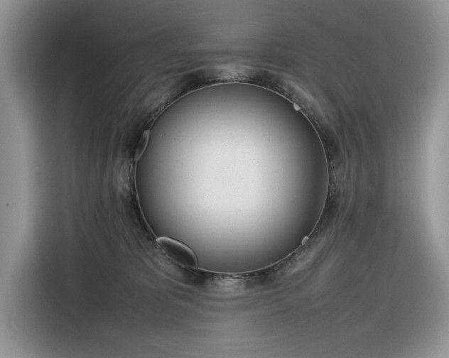 X0000116290325200912071216