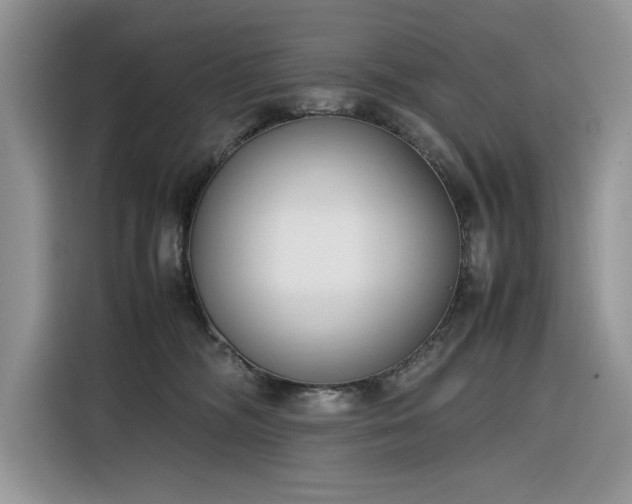 X0000116290326200912071216